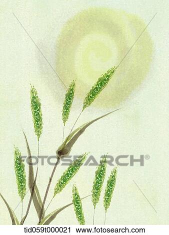 painting of a plant under a moon View Large Photo Image Stock Image - painting of a plant under a moon. Fotosearch