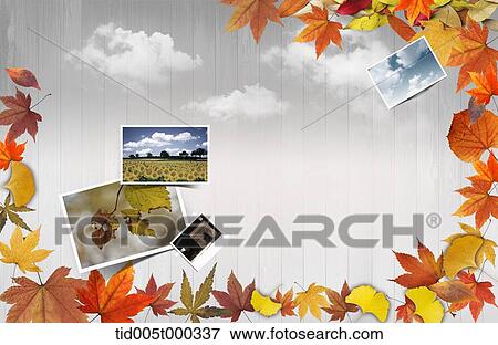 pictures of autumn atmosphere on a wooden plank surrounded by autumn leaves View Large Photo Image Stock Photo - pictures of autumn atmosphere on a wooden plank surrounded by autumn leaves. Fotosearch