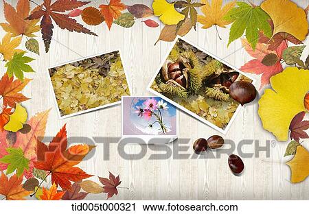 Stock Image - pictures of autumn in autumn leaves frame. Fotosearch