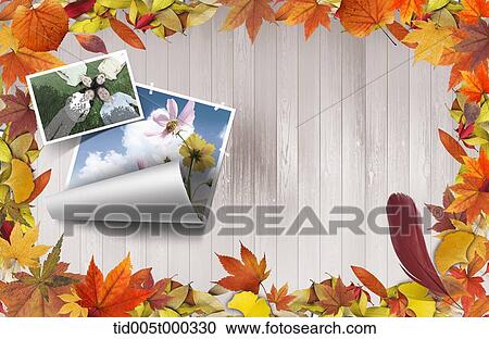 pictures on a wooden plank surrounded by autumn leaves View Large Photo Image Stock Image - pictures on a wooden plank surrounded by autumn leaves. Fotosearch