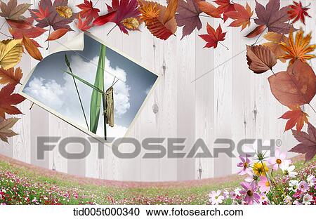 pictures on a wooden plank surrounded by autumn leaves View Large Photo Image Stock Image - pictures on a wooden plank surrounded by autumn leaves. Fotosearch