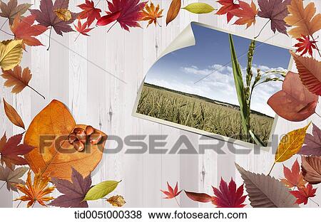 pictures on a wooden plank surrounded by autumn leaves View Large Photo Image Stock Photo - pictures on a wooden plank surrounded by autumn leaves. Fotosearch