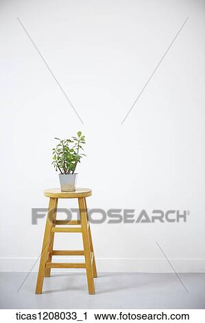 plant on the chair View Large Photo Image Stock Image - plant on the chair . Fotosearch