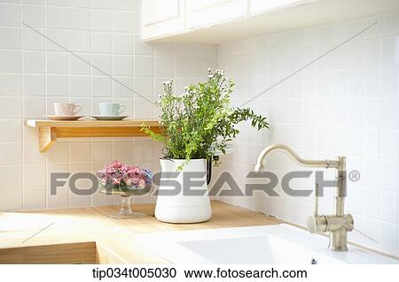 Stock Image - plant vases in a kitchen. Fotosearch