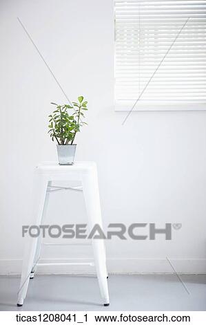 plants and chair in the space View Large Photo Image Stock Image - plants and chair in the space. Fotosearch