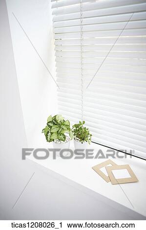 plants and frames on the window View Large Photo Image Stock Image - plants and frames on the window. Fotosearch