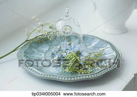 Picture - plants in a glass bell on a plate. Fotosearch
