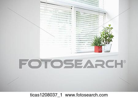 plants on the window View Large Photo Image Stock Image - plants on the window. Fotosearch