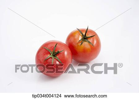 Picture - tomatoes in white background . Fotosearch