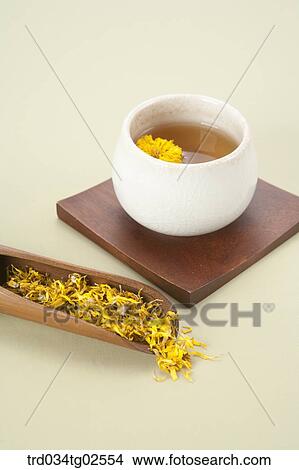 yellow chrysanthemums flower tea in a mug cup View Large Photo Image Picture - yellow chrysanthemums flower tea in a mug cup. Fotosearch
