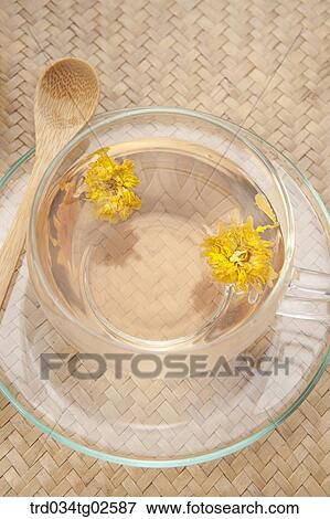 Stock Photo - yellow chrysanthemums flower tea in a glass cup. Fotosearch