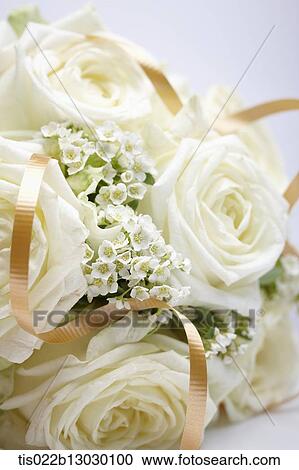 a bucket of white roses View Large Illustration Clipart - a bucket of white roses. Fotosearch