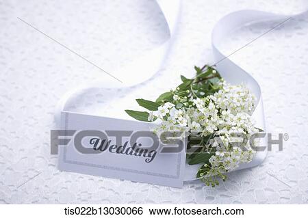 a wedding card with a flower bucket View Large Illustration Stock Illustration - a wedding card with a flower bucket. Fotosearch