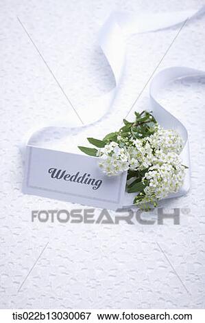 a wedding card with a flower bucket View Large Illustration Stock Illustration - a wedding card with a flower bucket. Fotosearch