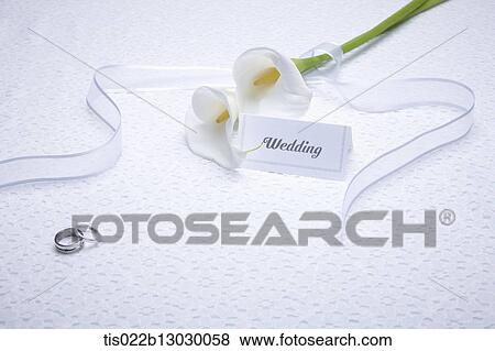 a wedding card with a flower View Large Illustration Stock Illustration - a wedding card with a flower. Fotosearch