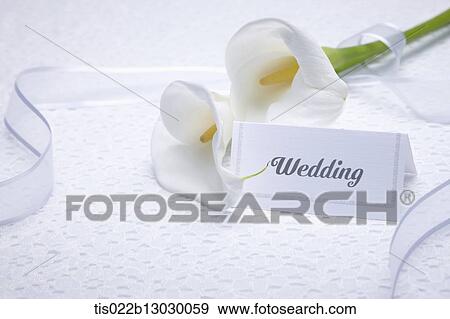 Stock Illustration - a wedding card with a flower. Fotosearch
