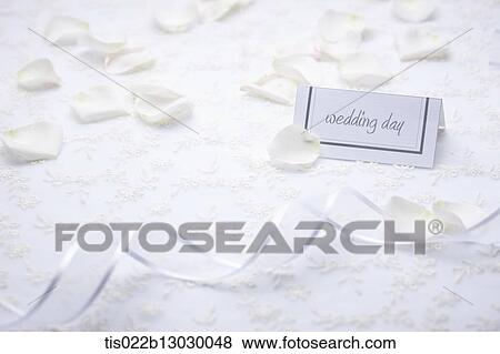 a wedding card with flower pedals around View Large Illustration Stock Illustration - a wedding card with flower pedals around. Fotosearch
