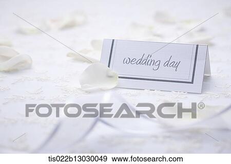a wedding card with flower pedals around View Large Illustration Stock Illustration - a wedding card with flower pedals around. Fotosearch