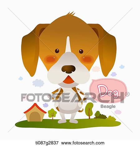 illustration of Beagle View Large Illustration Stock Illustration - illustration of Beagle. Fotosearch