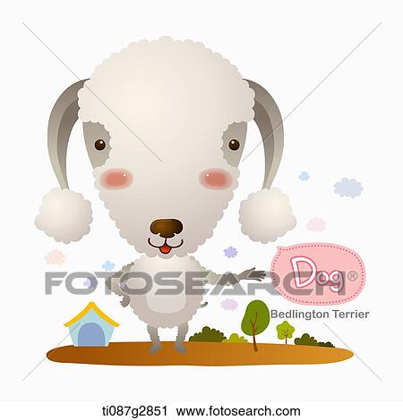 illustration of Bedlington Terrier View Large Illustration Clip Art - illustration of Bedlington Terrier. Fotosearch
