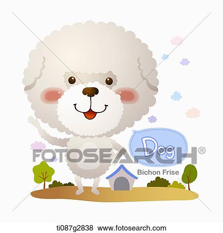 Stock Illustration - illustration of Bichon Frise. Fotosearch