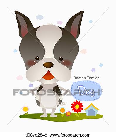 illustration of Boston Terrier View Large Illustration Stock Illustration - illustration of Boston Terrier. Fotosearch