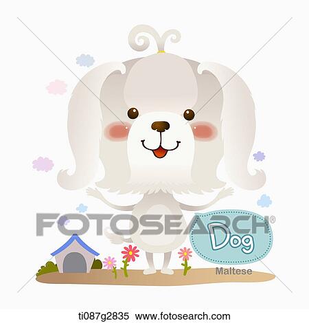 illustration of Maltese View Large Illustration Stock Illustration - illustration of Maltese. Fotosearch