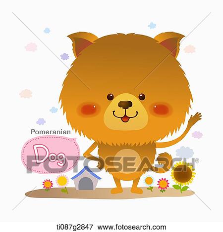 illustration of Pomeranian View Large Illustration Stock Illustration - illustration of Pomeranian. Fotosearch