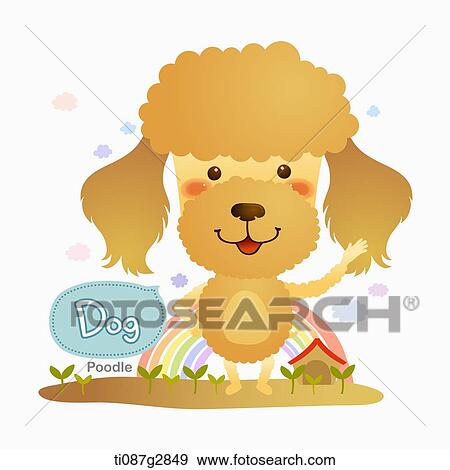 illustration of Poodle View Large Illustration Stock Illustration - illustration of Poodle. Fotosearch