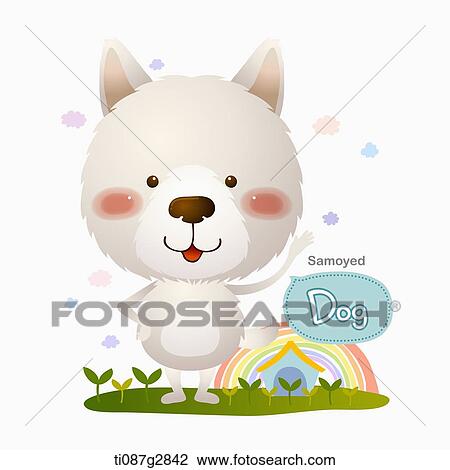 illustration of Samoyed View Large Illustration Drawing - illustration of Samoyed. Fotosearch