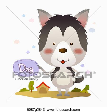 Drawing - illustration of Siberian Husky. Fotosearch