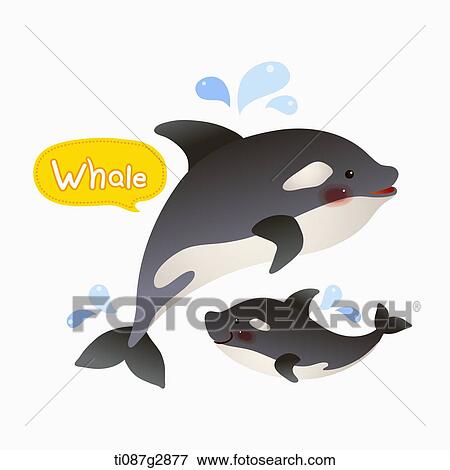 Stock Illustration - illustration of whale. Fotosearch