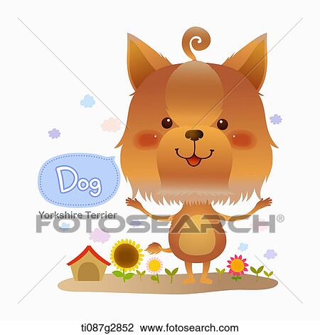 Drawing - illustration of Yorkshire Terrier. Fotosearch