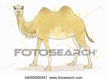 illustration painting of camel View Large Illustration Clip Art - illustration painting of camel. Fotosearch