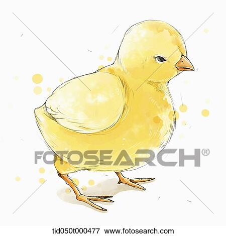Stock Illustration - illustration painting of chick. Fotosearch