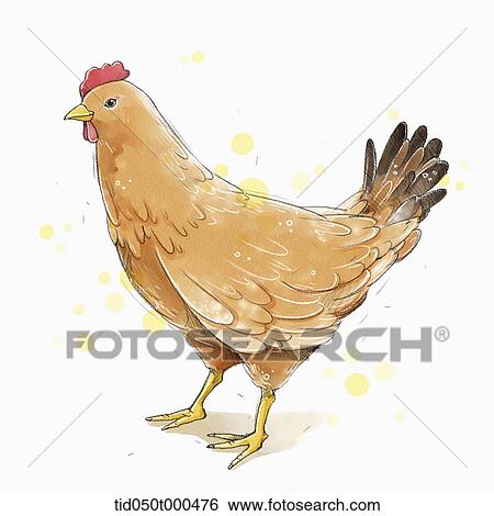illustration painting of chicken View Large Illustration Stock Illustration - illustration painting of chicken. Fotosearch