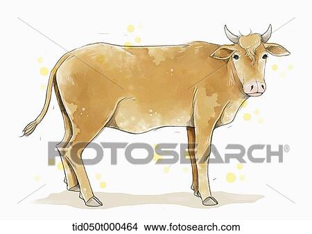 Illustration Painting Of Cow Stock Illustration Tid050t Fotosearch