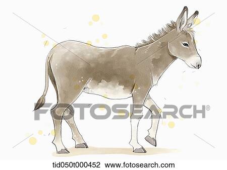 illustration painting of donkey View Large Illustration Drawing - illustration painting of donkey. Fotosearch