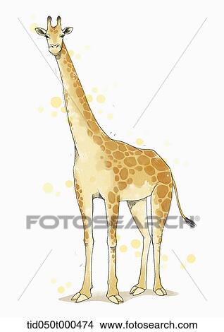 illustration painting of giraffe View Large Illustration Stock Illustration - illustration painting of giraffe. Fotosearch