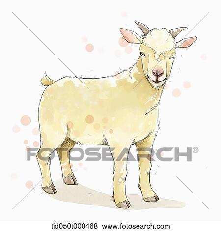 Stock Illustration - illustration painting of goat. Fotosearch