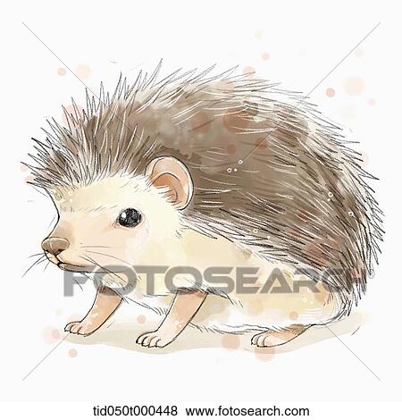 illustration painting of hedgehog View Large Illustration Stock Illustration - illustration painting of hedgehog. Fotosearch