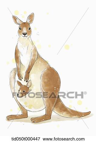 Illustration Painting Of Kangaroo Stock Illustration Tid050t Fotosearch