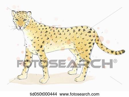 illustration painting of leopard View Large Illustration Stock Illustration - illustration painting of leopard. Fotosearch