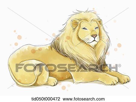 Drawing - illustration painting of lion. Fotosearch