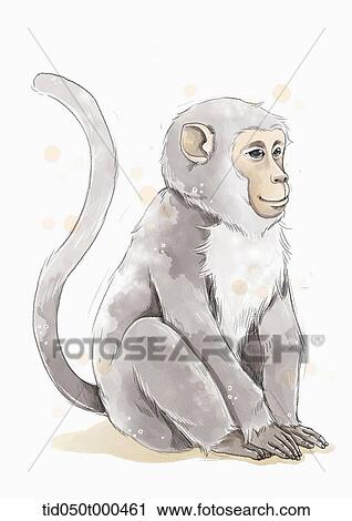illustration painting of monkey View Large Illustration Clip Art - illustration painting of monkey. Fotosearch