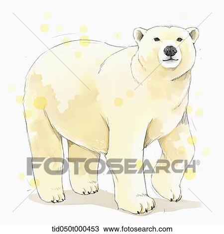 illustration painting of polar bear View Large Illustration Drawing - illustration painting of polar bear. Fotosearch