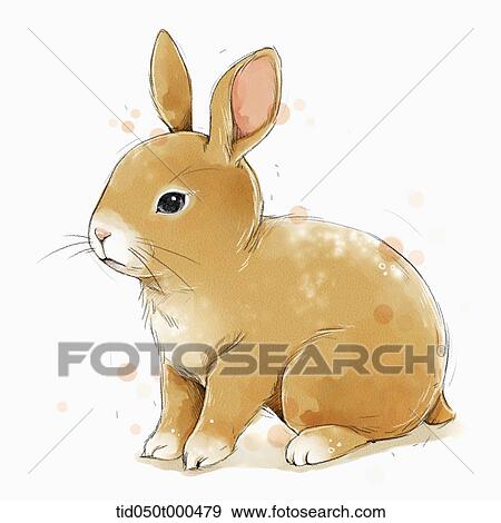 illustration painting of rabbit View Large Illustration Stock Illustration - illustration painting of rabbit. Fotosearch