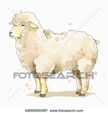illustration painting of sheep View Large Illustration Stock Illustration - illustration painting of sheep. Fotosearch