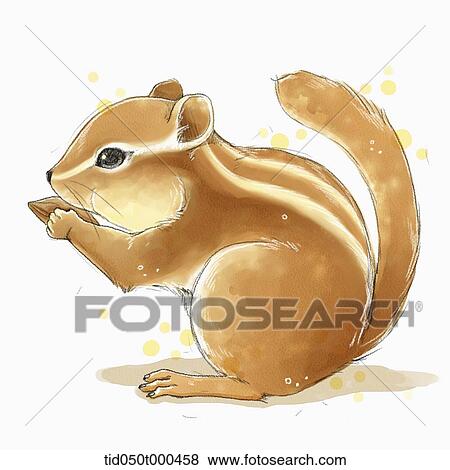 illustration painting of squirrel View Large Illustration Stock Illustration - illustration painting of squirrel. Fotosearch