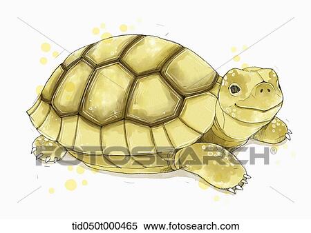 illustration painting of turtle View Large Illustration Stock Illustration - illustration painting of turtle. Fotosearch